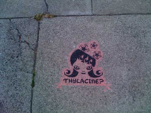 070809_thylacine-500