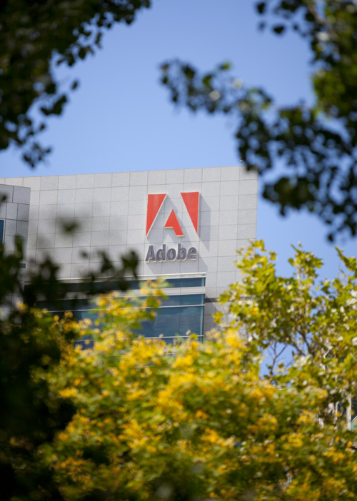 Adobe through the leaves