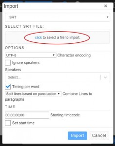 SRT Import options in Transcriptive